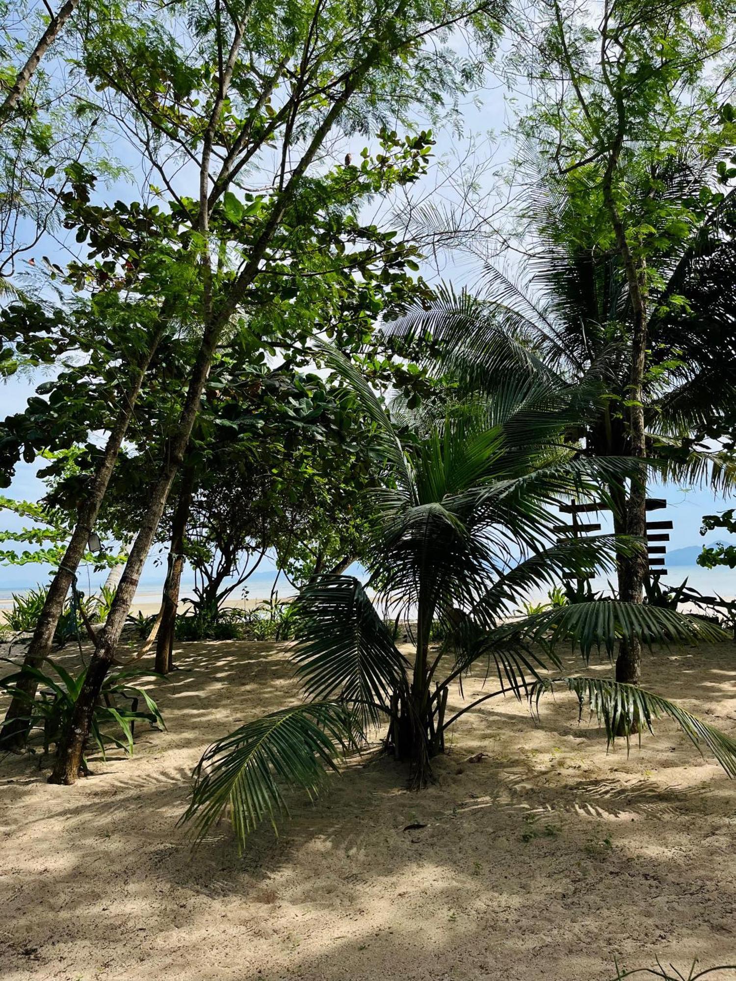Efrena Agro Tourism Beach El Nido Exterior foto