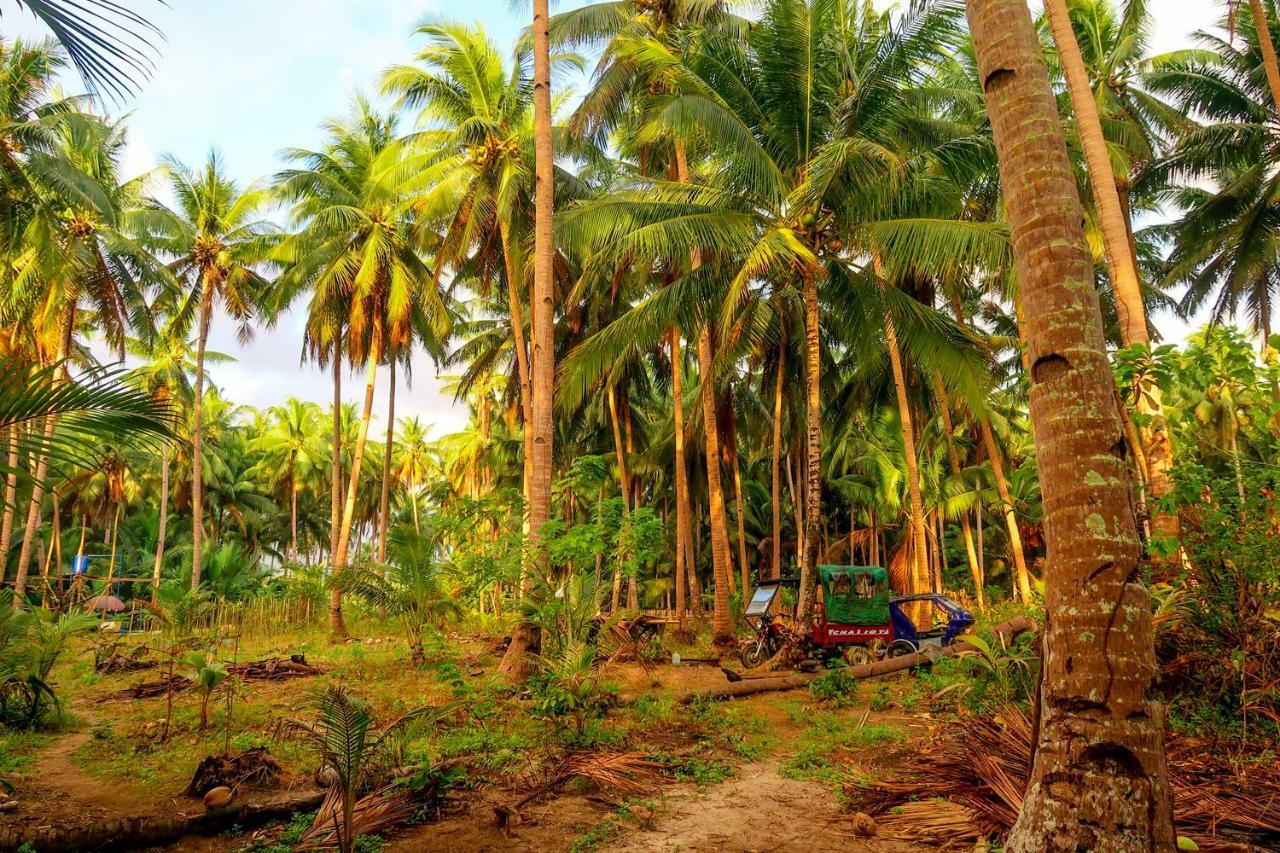 Efrena Agro Tourism Beach El Nido Exterior foto